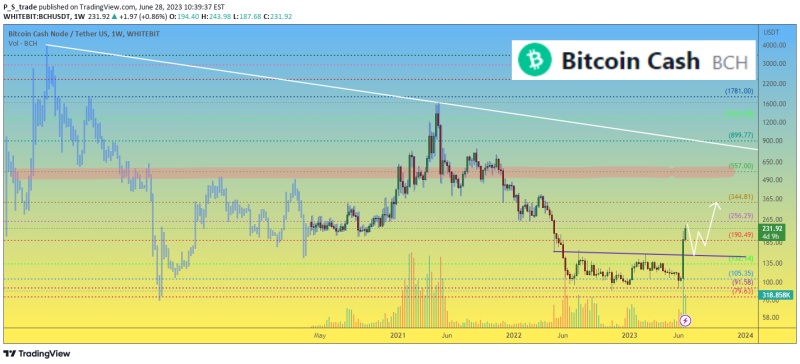 Bitcoin Cash BCH price what is happening, why is it growing?