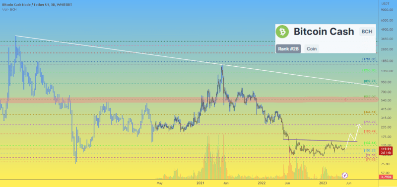 Bitcoin Cash BCH price what is happening, why is it growing?