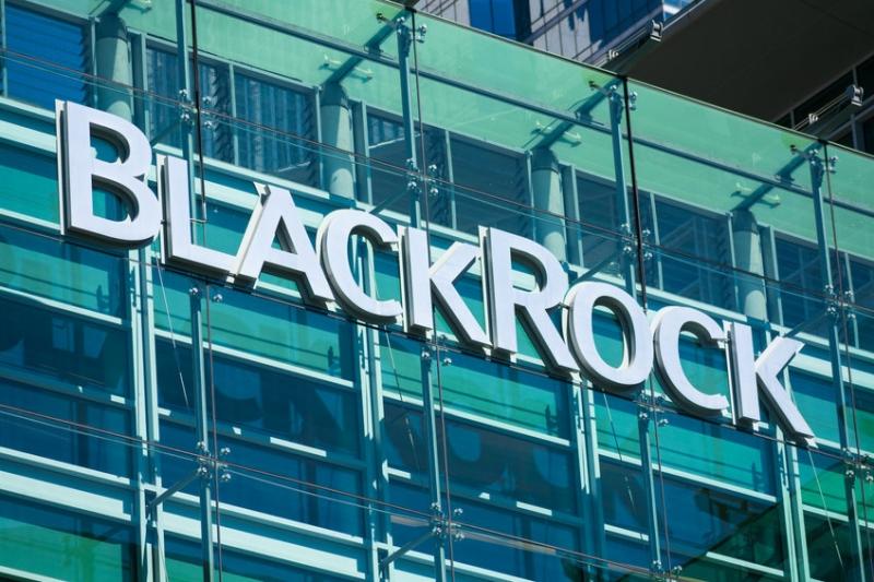 BlackRock CEO says crypto will transcend international currencies