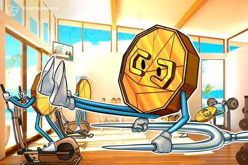 BNB Beacon Chain to add ‘panic’ feature that can ‘halt’ blockchain