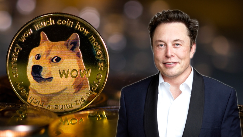 Elon Musk Incorporates Dogecoin Symbol In Twitter Bio, Triggering 5% Increase In Price