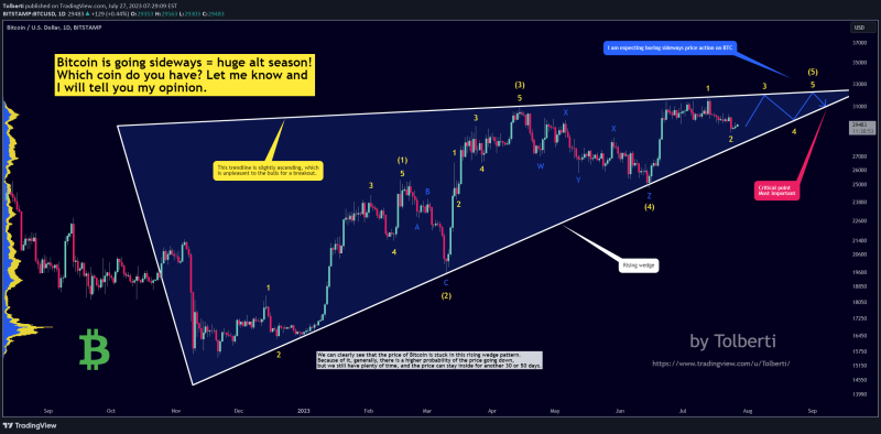 Bitcoin - Huge alt-season is starting! (buy altcoins)