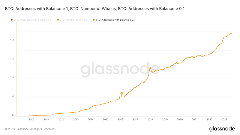 First Mover Asia: Individual Wallets Holding 1 Bitcoin Hit All-Time High as BTC Maintains $30K