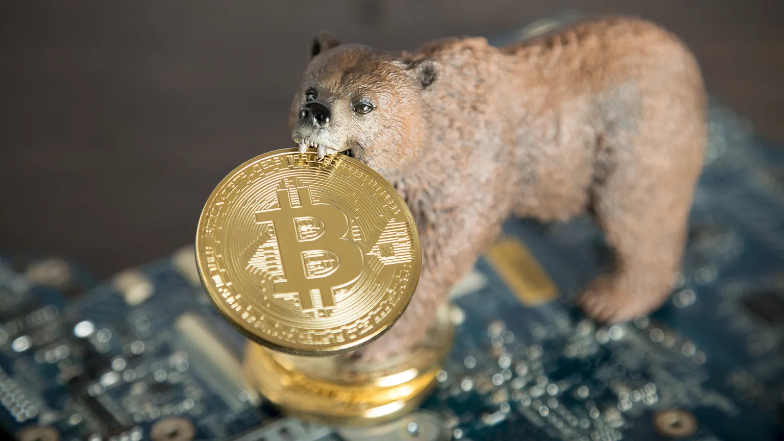 Bear Market 'Much Worse Than Expected’: Analysts Pitch New Bitcoin Economy Framework