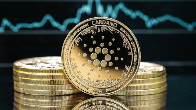 Cardano Whale Accumulation and Transaction Activity On the Rise