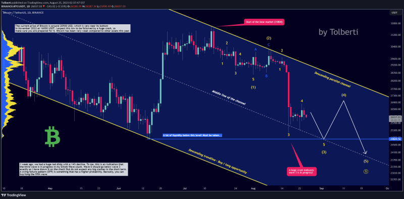 Bitcoin - Plan for the next 30 days! (This is going to happen)