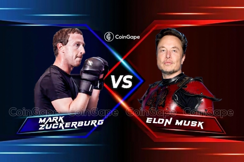 Elon Musk Vs Mark Zuckerberg: What is Delaying this Historic Fight?