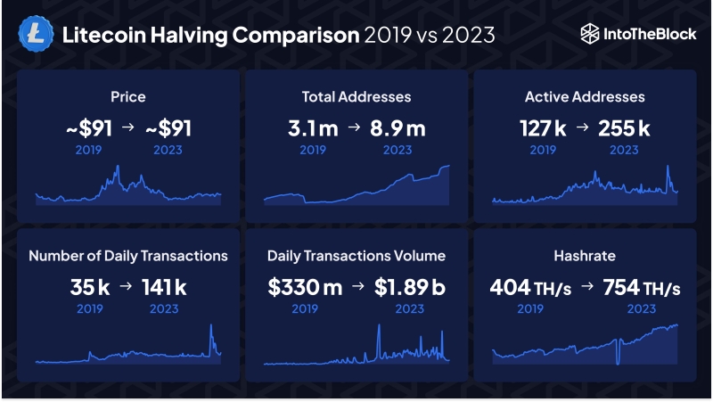 Litecoin Completes Halving, But Price Plunges 6%