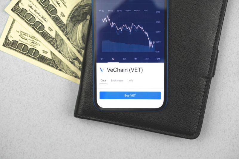 Massive development for VeChain (VET) as self-custody wallet goes live