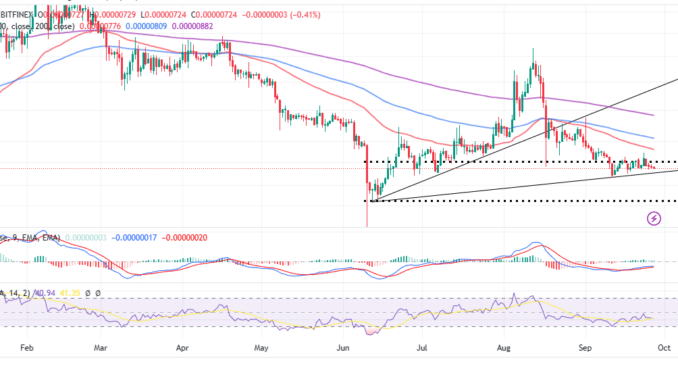 Shiba Inu Price Prediction: SHIB Bleeds Above $0.000007 Support