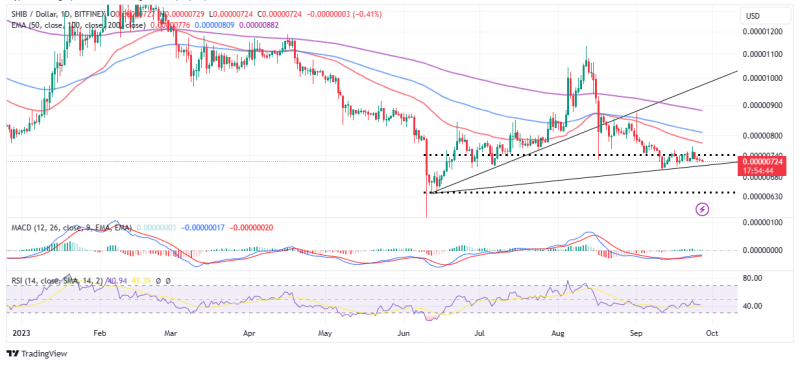 Shiba Inu Price Prediction: SHIB Bleeds Above $0.000007 Support