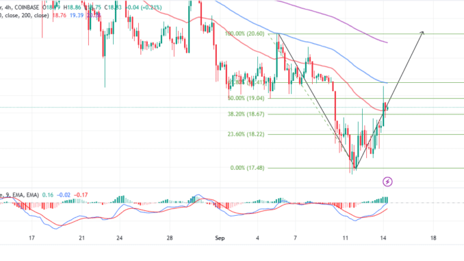 SOL Price Abandons Bearish Calls Steadying Recovery To $20