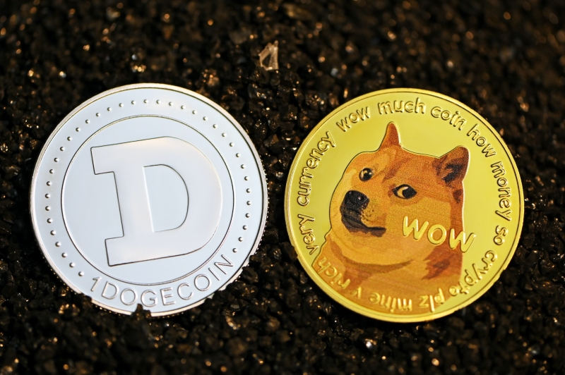 Dogecoin Holders Alert: Unleash Your Wealth Potential with Bitcoin Spark