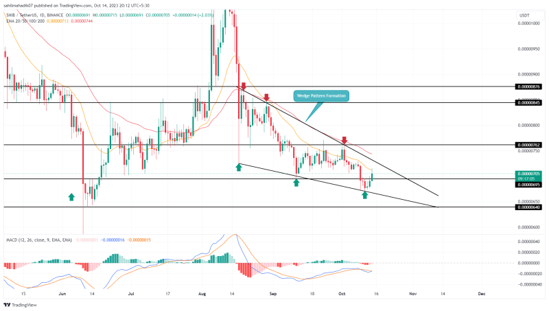 Will SHIB Price Rally to $0.00001? Reversal Pattern Hints End of Correction