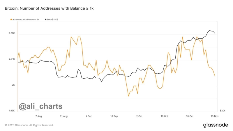 BTC Price Slips 3% to $35,000, Key Bitcoin Red Flags to Watch