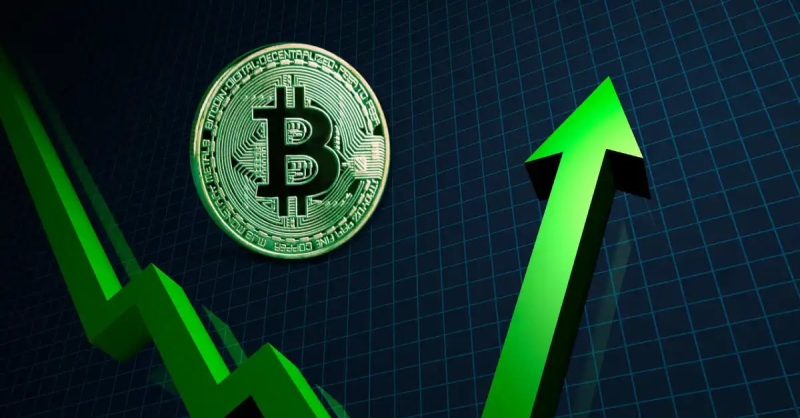 Is a Bitcoin Bull Rally Near? Superholders Set ATH with BTC Accumulation