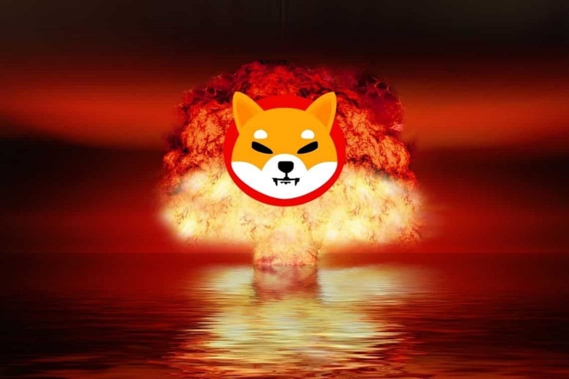 Shiba Inu Team's Ambitious Burn Plans: Crucial Details Revealed