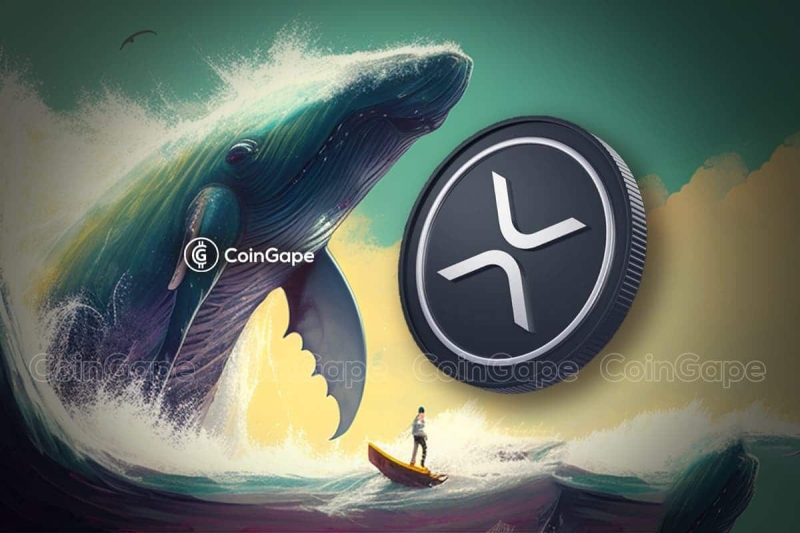 XRP Price: XRP Whales Move 81 Mln Coins Amid New ATH Hype, What's Happening?