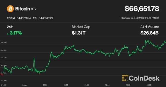 Bitcoin Eyes $67K After Halving as Altcoins Primed for Short Squeeze, Hedge Fund Says