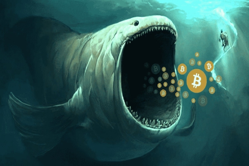 Bitcoin Whale Activates Dormant $115M Wallet as Bitcoin Halving Looms