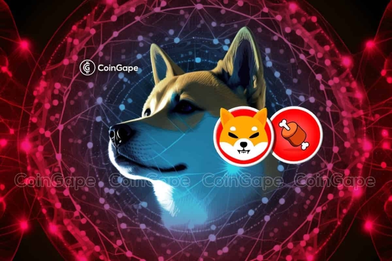 BONE Price Primed To Rally? Shiba Inu Executive Hints As ShibaSwap Goes Multi-Chain