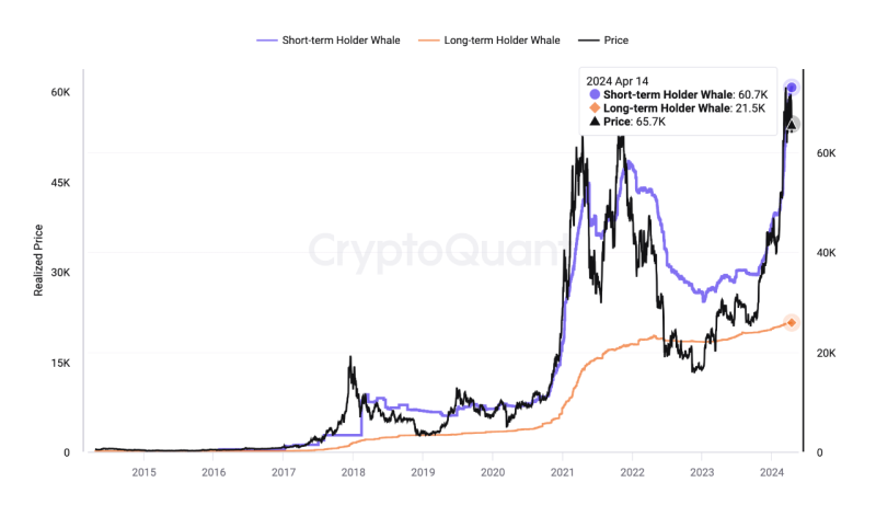 Crypto Market Showing Recovery Signals: Will It Bounce Back?