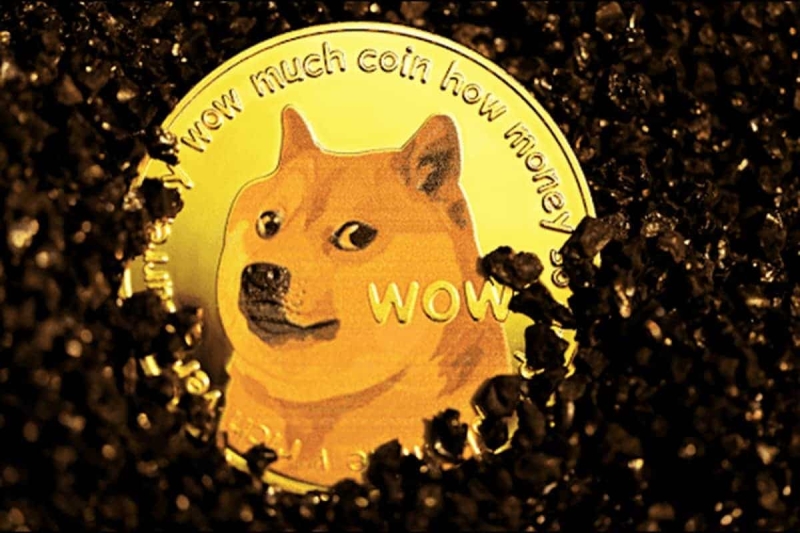 DOGE Price: Dogecoin Whales Accumulate 200 Mln Coins, What's Next?