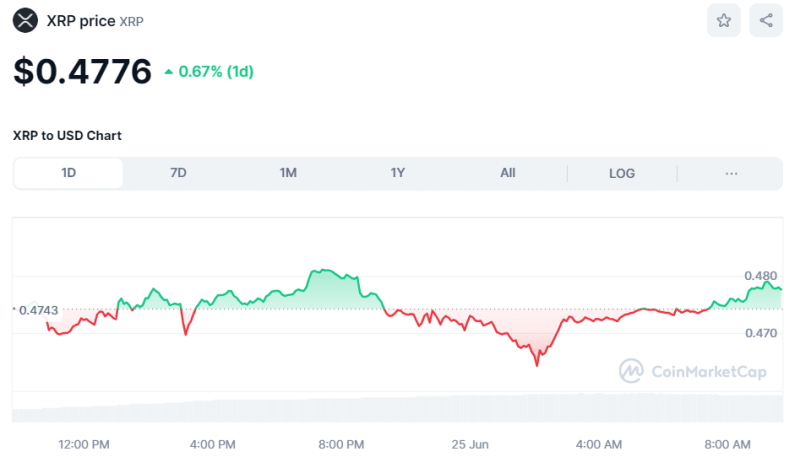 Crypto Prices Today June 25: Bitcoin Down To $60K, Meme & AI Coins Among Top Gainers