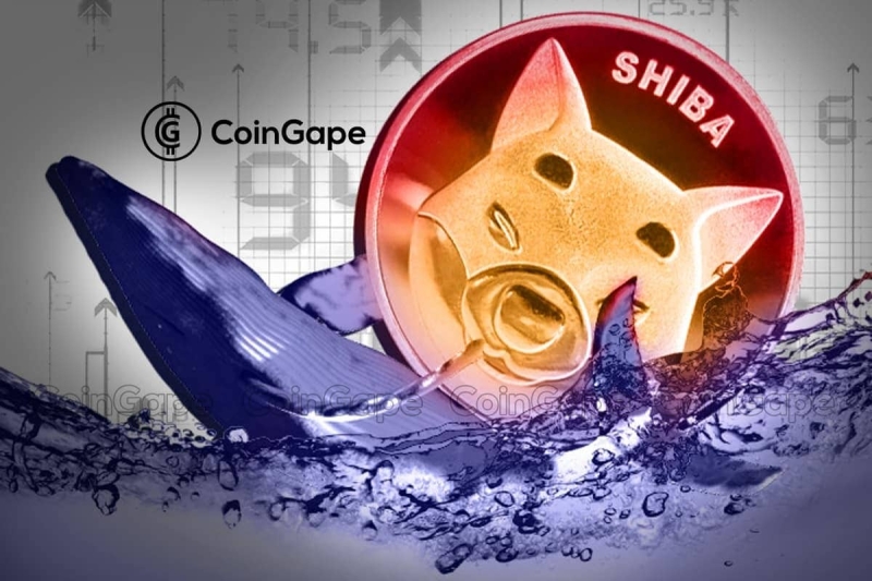 Shiba Inu Coin: Whale Bags 600B SHIB From Robinhood Hinting Price Rally Ahead