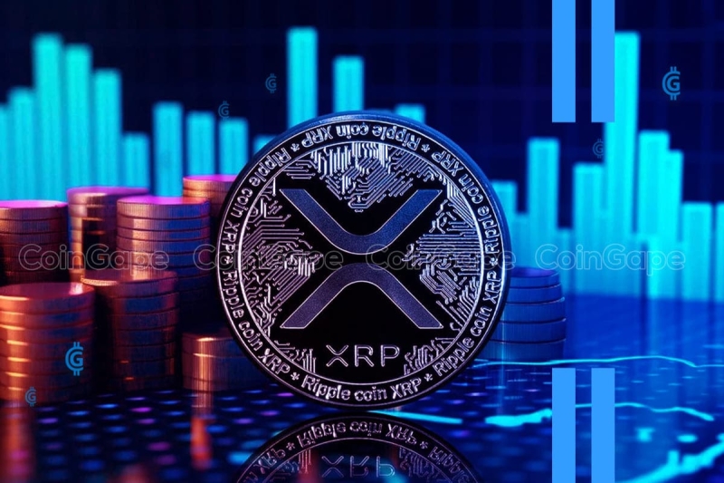 XRP Price: XRP Whales Sack 77M Coins From Binance, Price Gains Ahead?