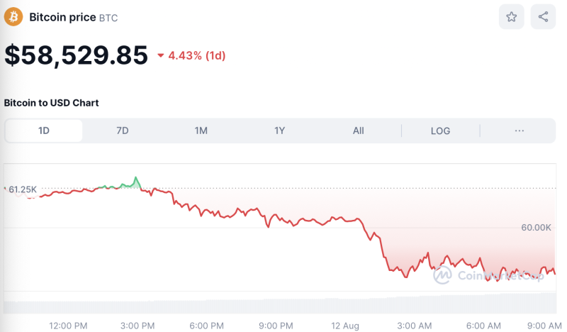 Crypto Prices Today August 12: BTC Sinks To $58K, Altcoins Crack 4%-12%