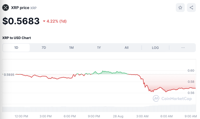 Crypto Prices Today August 28: BTC Pulls Back To $59K, Major Altcoins Sink