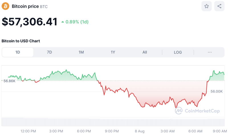 Crypto Prices Today August 8: BTC Holds Above $57K, XRP Rallies 20%