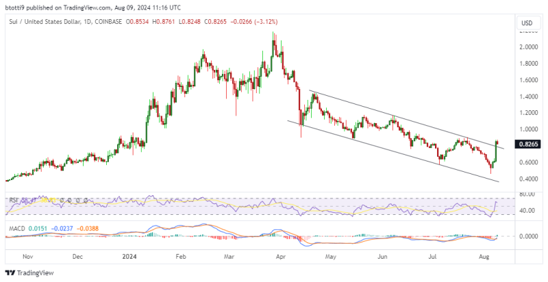 SUI price prediction as Poodlana enters final 7-day countdown