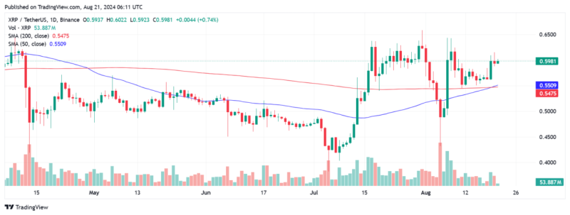 Top Reasons Why XRP Price May See A Rally Soon