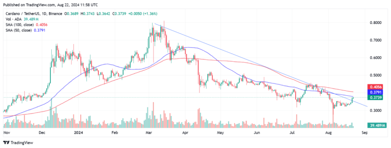 Why Is ADA Price Up Today?