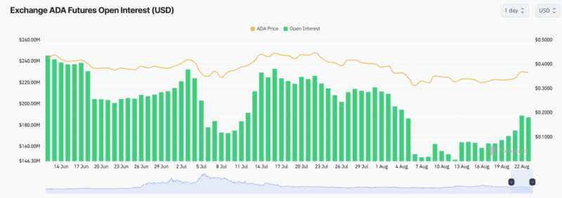 Why Is ADA Price Up Today?