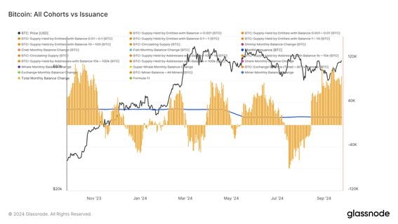 Retail Accumulation and Exchange Outflows Drive Market Optimism for Bitcoin 