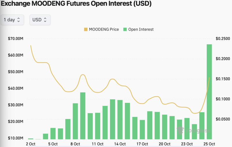 MOODENG Price Blows Up 90% As Binance Launches Perpetual Contract