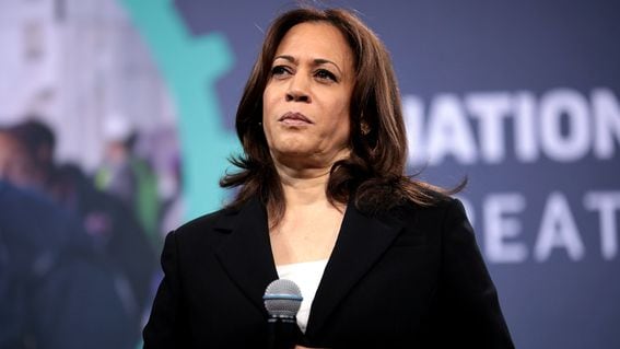 Harris and Trump Bets Near Even Odds Ahead of U.S. Election Day as 'Voter Fraud' Rumors Swirl