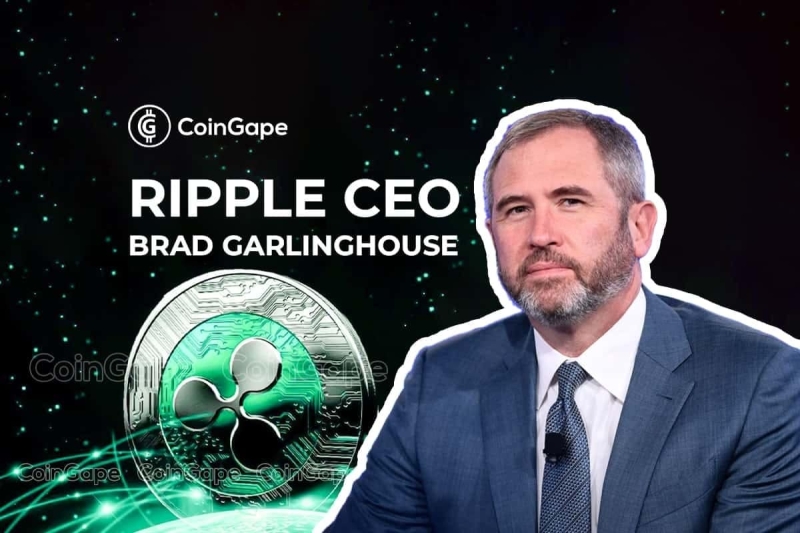 Ripple CEO Says Dems Should Hold Gary Gensler Accountable