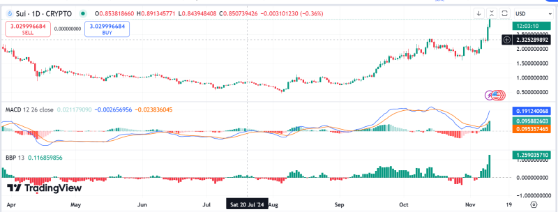 SUI Price Surges 60% To Record High Market Cap, What’s Next?